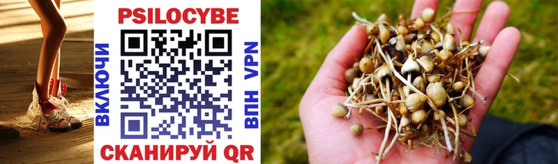 Псилоцибиновые грибы Psilocybe  Магнитогорск 