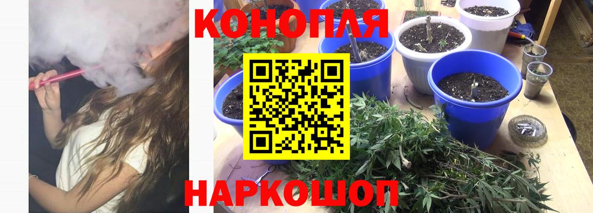 Канабис Bruce Banner  Каннабис ГИДРОПОН  Бошки Шишки Amnesia  Магнитогорск  Вход с VPN 